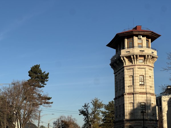 Снимки: Нели Христова